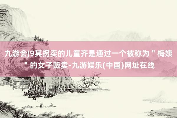 九游会J9其拐卖的儿童齐是通过一个被称为＂梅姨＂的女子贩卖-九游娱乐(中国)网址在线