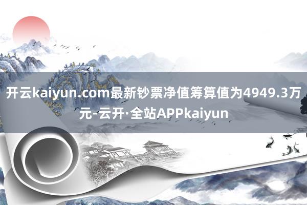 开云kaiyun.com最新钞票净值筹算值为4949.3万元-云开·全站APPkaiyun