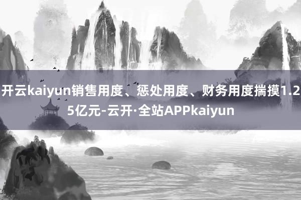 开云kaiyun销售用度、惩处用度、财务用度揣摸1.25亿元-云开·全站APPkaiyun