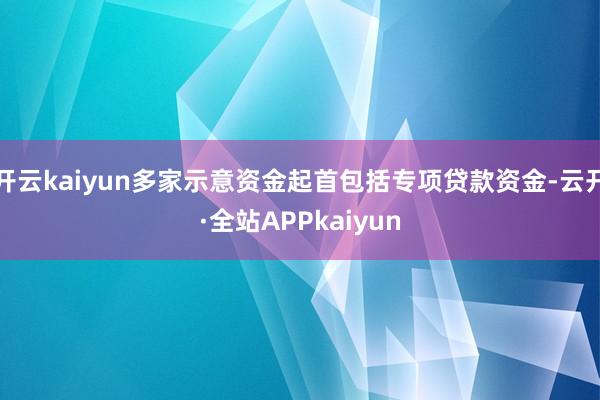 开云kaiyun多家示意资金起首包括专项贷款资金-云开·全站APPkaiyun