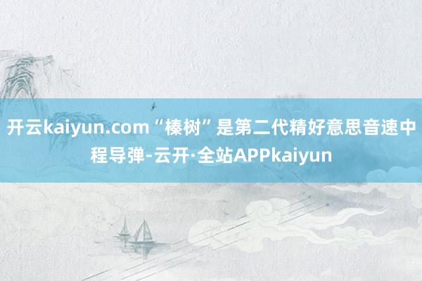 开云kaiyun.com“榛树”是第二代精好意思音速中程导弹-云开·全站APPkaiyun