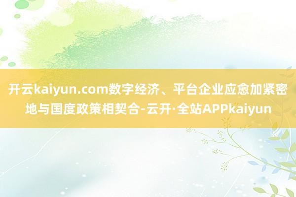 开云kaiyun.com数字经济、平台企业应愈加紧密地与国度政策相契合-云开·全站APPkaiyun