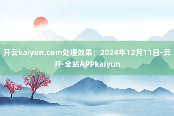 开云kaiyun.com处理效果：2024年12月11日-云开·全站APPkaiyun