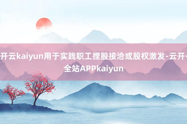 开云kaiyun用于实践职工捏股接洽或股权激发-云开·全站APPkaiyun