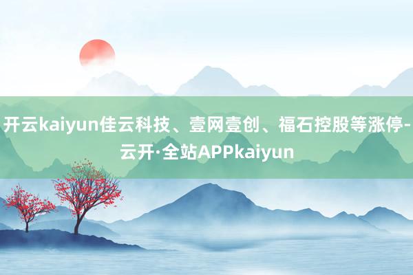 开云kaiyun佳云科技、壹网壹创、福石控股等涨停-云开·全站APPkaiyun