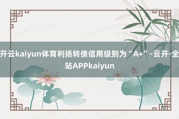 开云kaiyun体育利扬转债信用级别为“A+”-云开·全站APPkaiyun